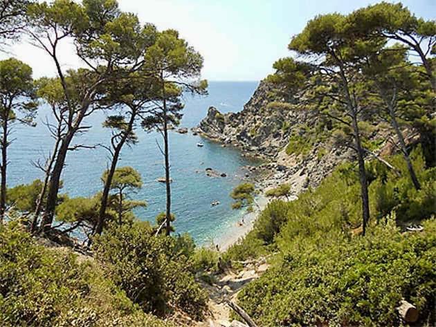 La Fincazur! Proche Plages Six-Fours-les-Plages Eksteriør billede